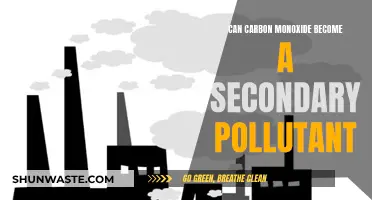 Carbon Monoxide: Secondary Pollutant Threat?