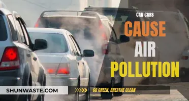 Cars and Air Pollution: What's the Connection?