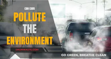 Cars and Environmental Pollution: What's the Real Damage?