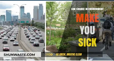 Environmental Shifts and Health: How Surroundings Impact Your Well-Being