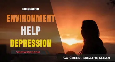 Can a New Environment Ease Depression Symptoms? Exploring the Impact