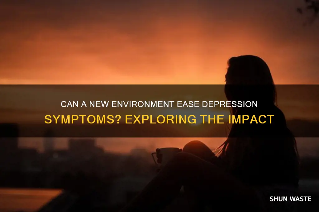 can change of environment help depression