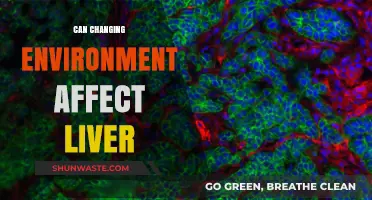 Environmental Shifts and Liver Health: Uncovering the Surprising Connection