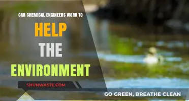 Chemical Engineers: Driving Environmental Solutions for a Sustainable Future