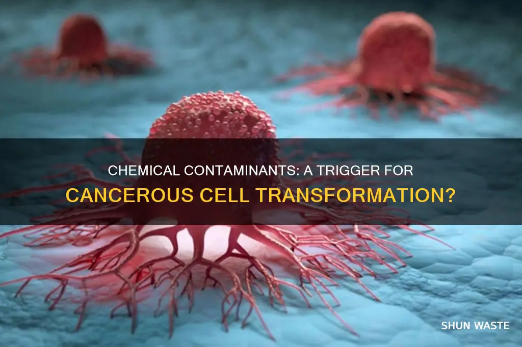 can chemical pollutants cause a cell to become cancerous