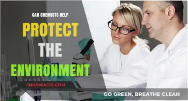 Chemists' Role in Environmental Protection: Solutions for a Sustainable Future