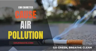 Cigarettes: Air Polluters or Not?