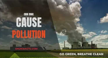 Coal Pollution: Is Coal Causing Environmental Damage?