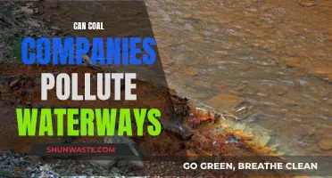 Coal Companies: Waterway Polluters or Protectors?