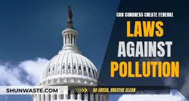 Congress' Power to Create Federal Anti-Pollution Laws