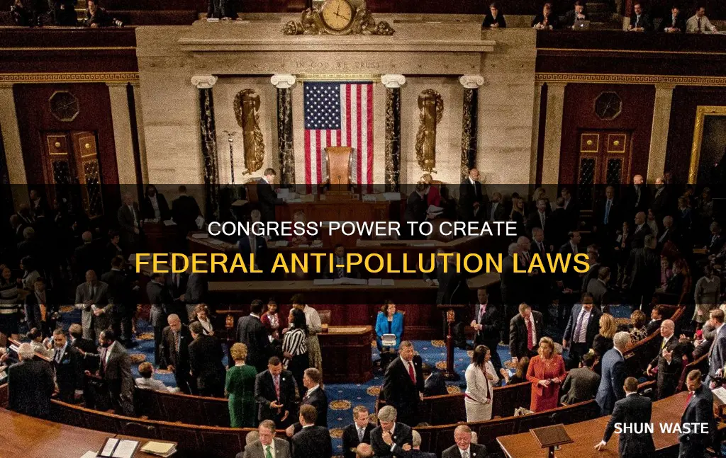 can congress create federal laws against pollution