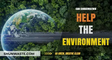 Conservation's Impact: How Protecting Nature Benefits Our Environment and Future