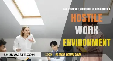Is Constant Belittling Creating a Hostile Work Environment? Exploring the Impact