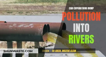 Pollution and Corporations: Who's Dumping in Our Rivers?