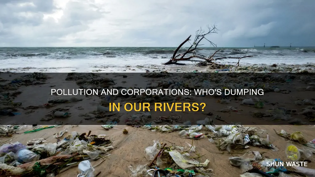 can coporations dump pollution into rivers