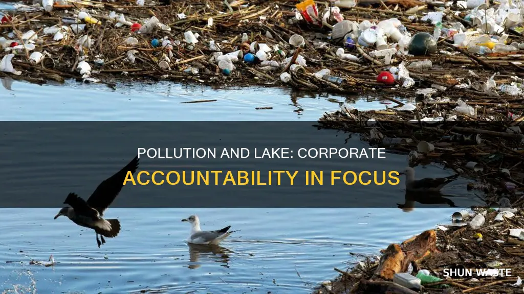 can corporations dump pollutions into lakes