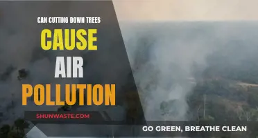 Tree Cutting: Air Pollution's Unseen Cause?