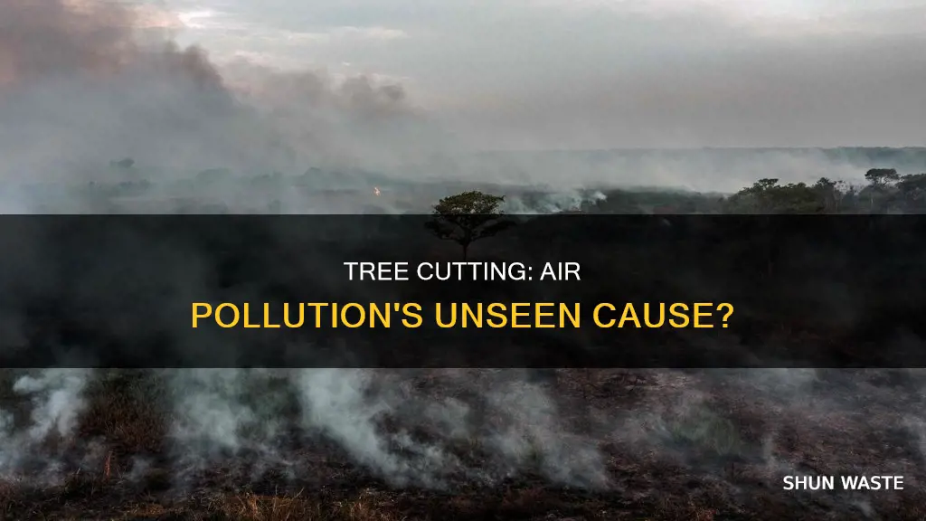 can cutting down trees cause air pollution