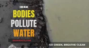 Dead Bodies: Aquatic Polluters?