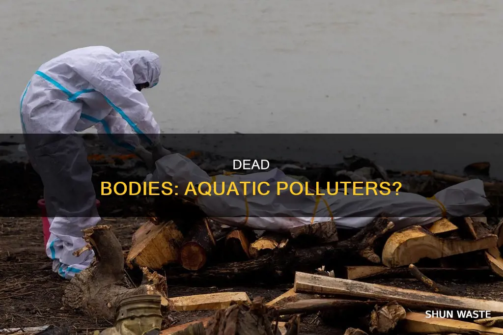 can dead bodies pollute water