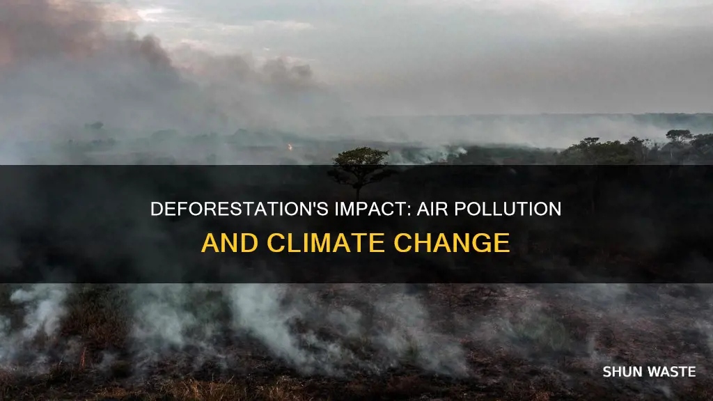 can deforestation cause air pollution