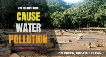 Deforestation's Impact: Water Pollution and Its Causes