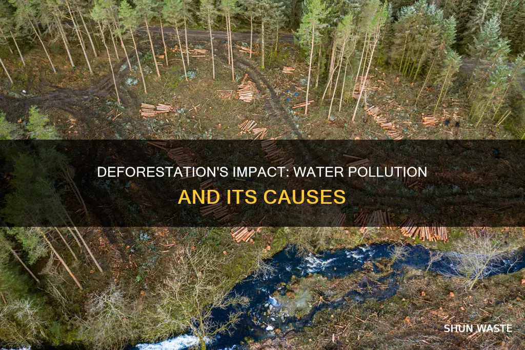 can deforestation cause water pollution