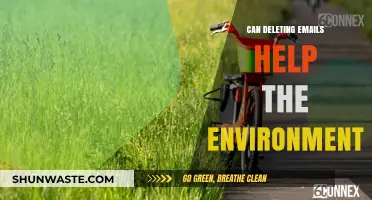 Deleting Emails: A Simple Eco-Friendly Habit for a Greener Digital Life