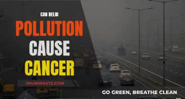 Delhi Pollution: A Cancer Risk?