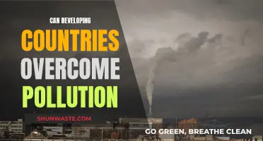 Developing Nations: Overcoming Pollution Challenges