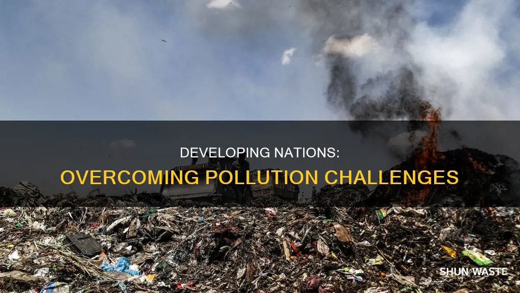 can developing countries overcome pollution