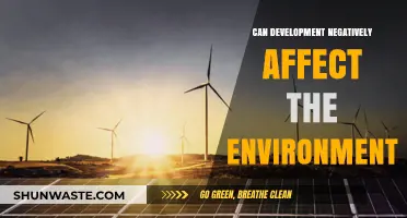 Development's Dark Side: Environmental Costs of Progress and Growth