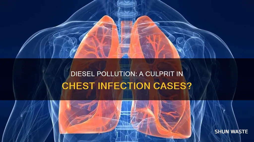 can diesel pollution cause chest infections