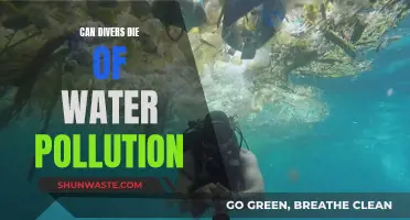 Diving Dangers: Water Pollution's Deadly Impact