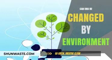 Environmental Factors: Can They Alter Our DNA and Shape Our Future?
