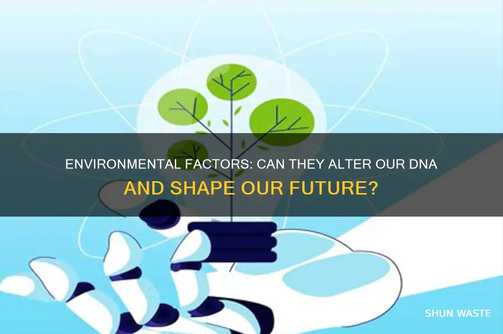 can dna be changed by environment