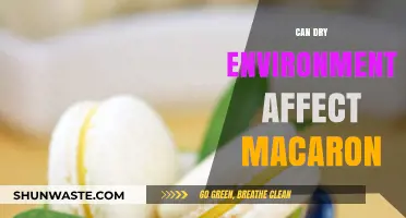 Dry Climates and Macaron Making: Challenges and Solutions for Perfect Results