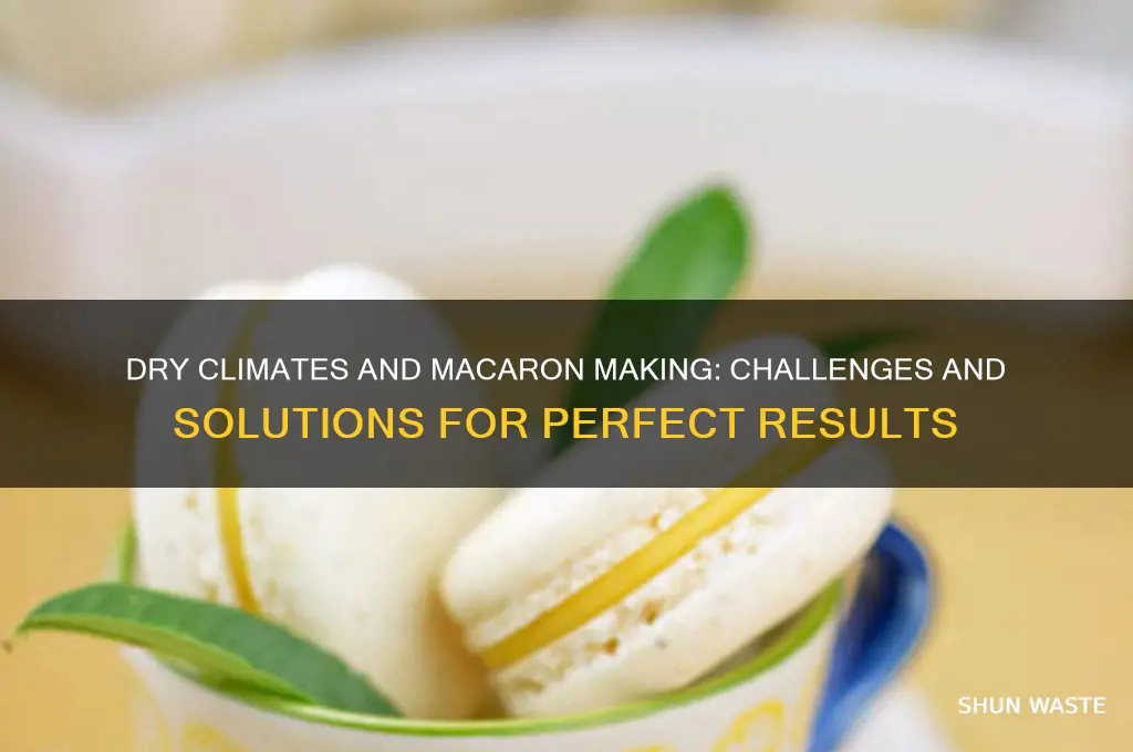 can dry environment affect macaron