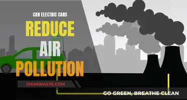 Electric Cars: Air Pollution Solution or Complex Problem?