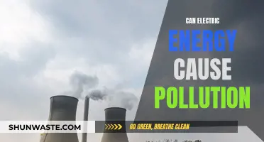 Electric Energy's Pollution Paradox: Clean Power, Dirty Secrets?