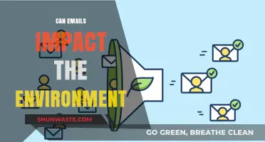 The Hidden Environmental Impact of Emails: What You Need to Know