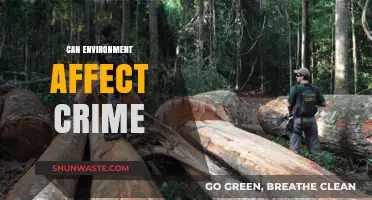 How Environmental Factors Influence Crime Rates and Community Safety