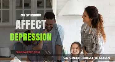 How Environmental Factors Influence Depression: Exploring the Surprising Connections