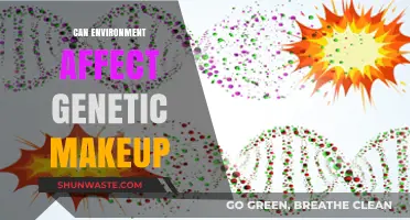How Environmental Factors Influence and Alter Our Genetic Makeup