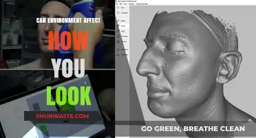 How Your Surroundings Shape Your Appearance: The Environment-Looks Connection