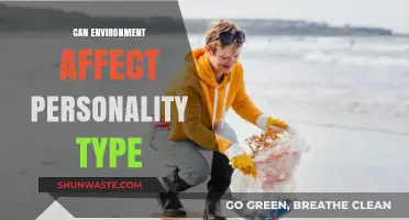How Surroundings Shape Traits: Exploring Environment's Impact on Personality Types