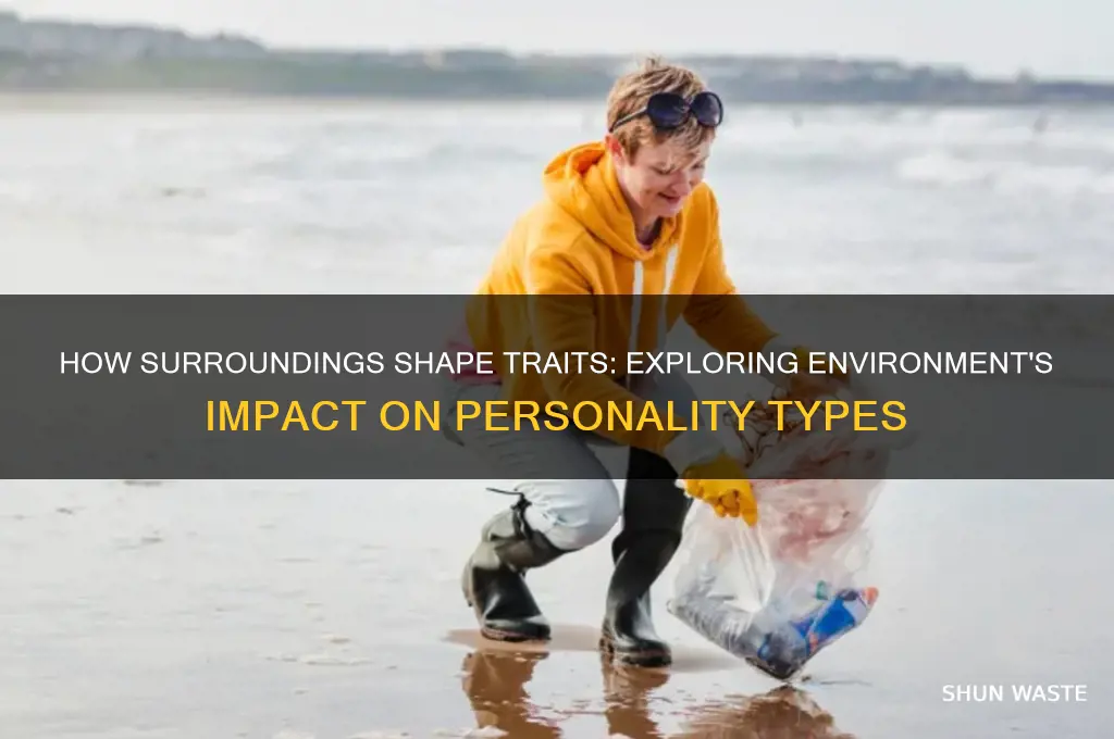 can environment affect personality type