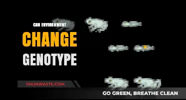 Environmental Influence on Genotype: Unraveling Nature's Impact on Genetic Expression