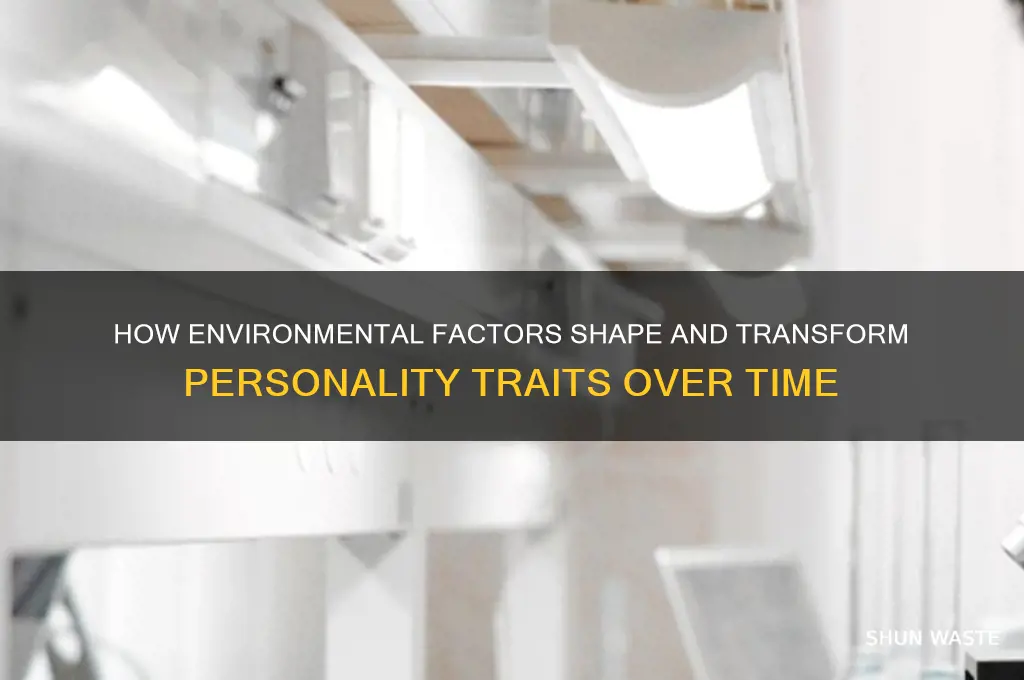 can environment change personality