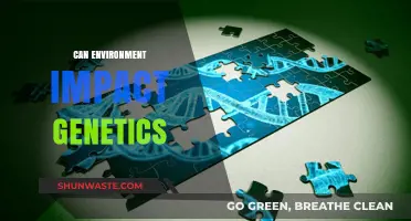 How Environmental Factors Shape and Influence Genetic Expression Over Time